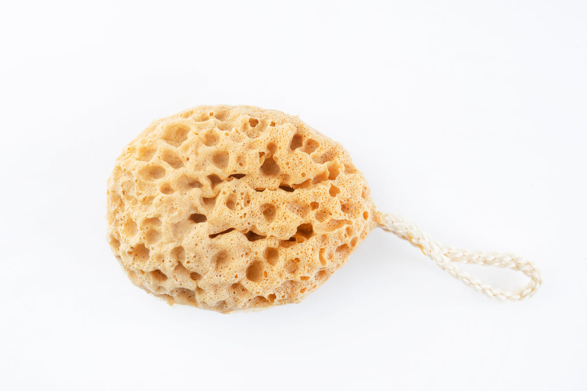 Natural Mediterranean Sea Sponge