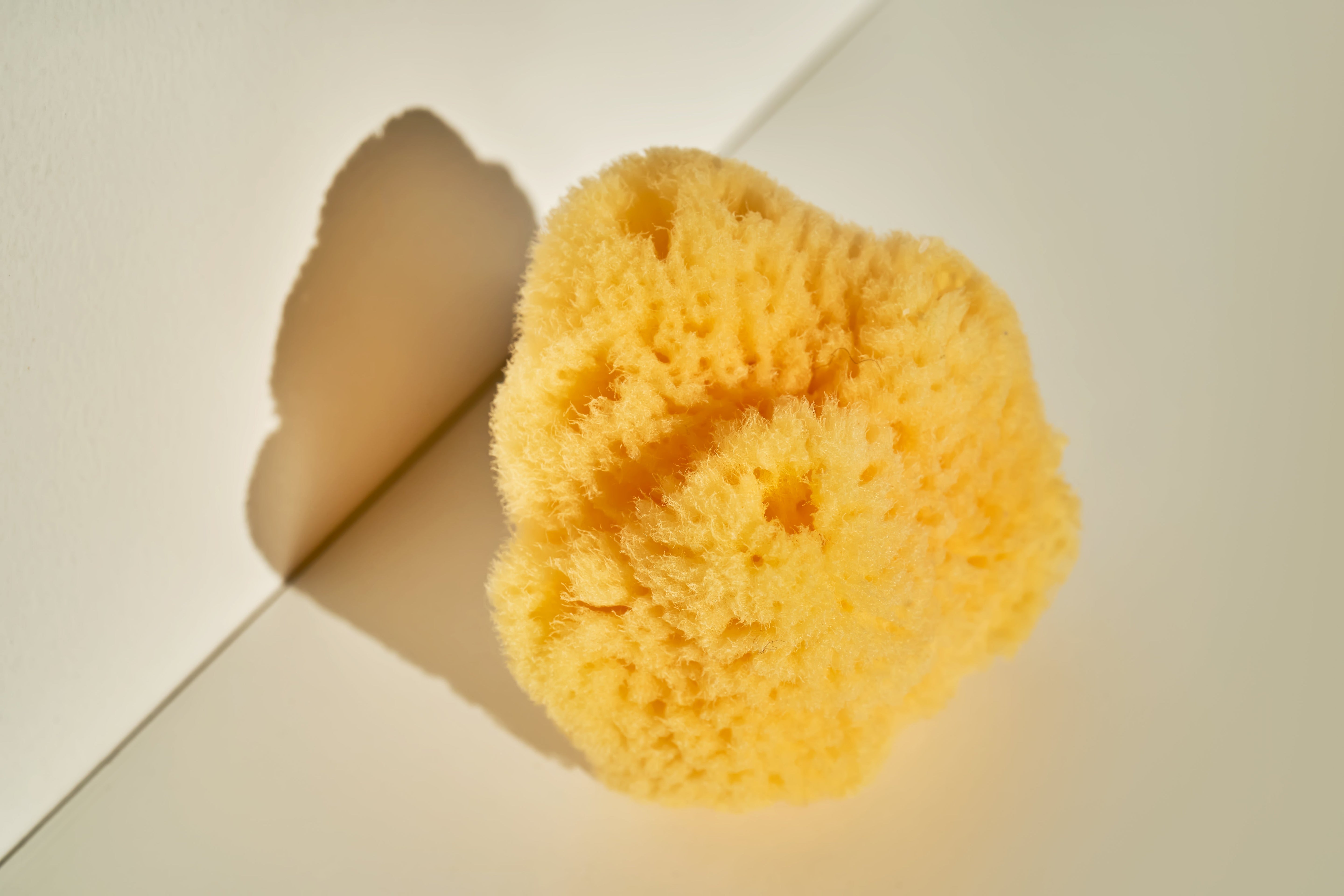 Mediterranean Natural Sea Sponge