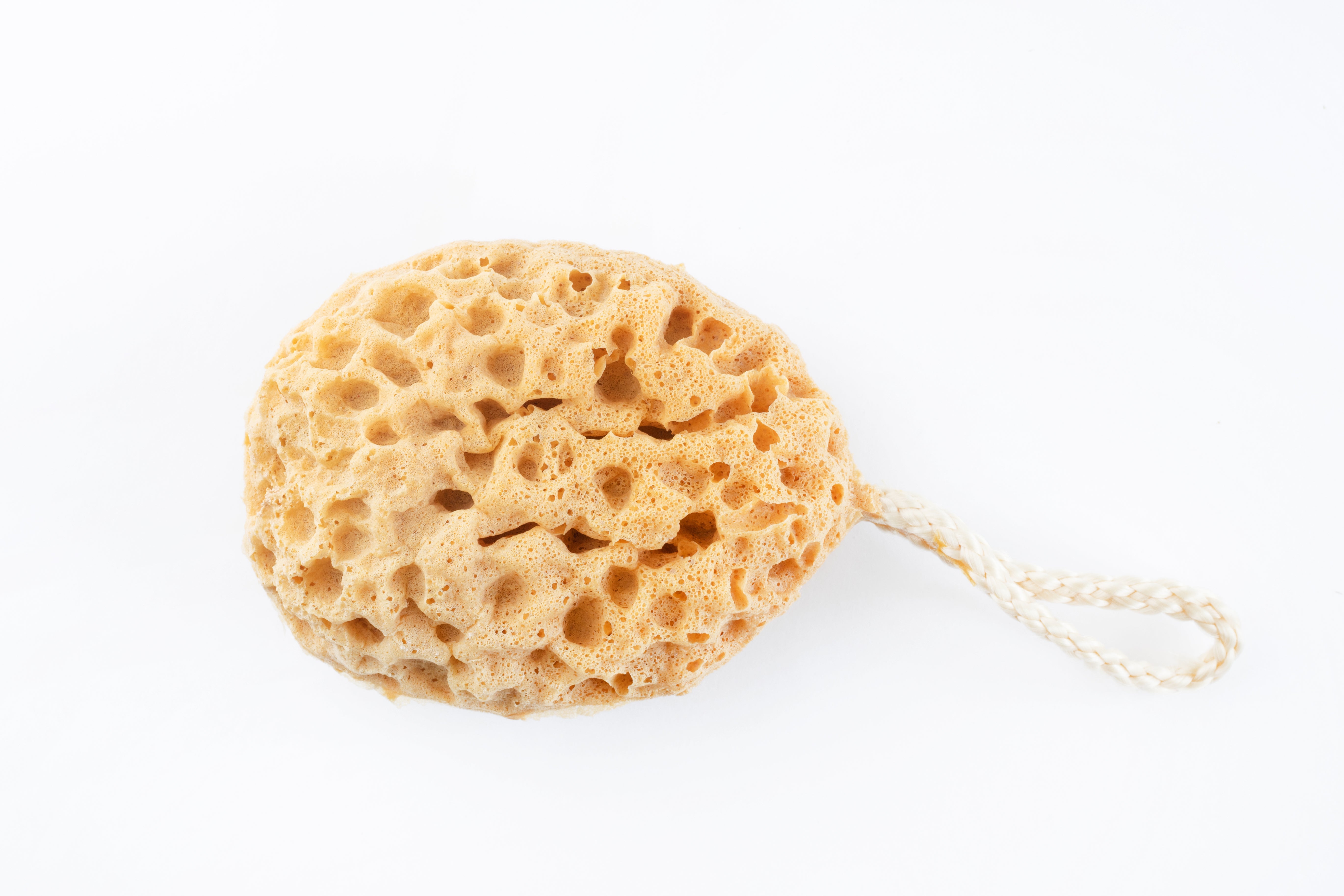 Mediterranean Natural Sea Sponge